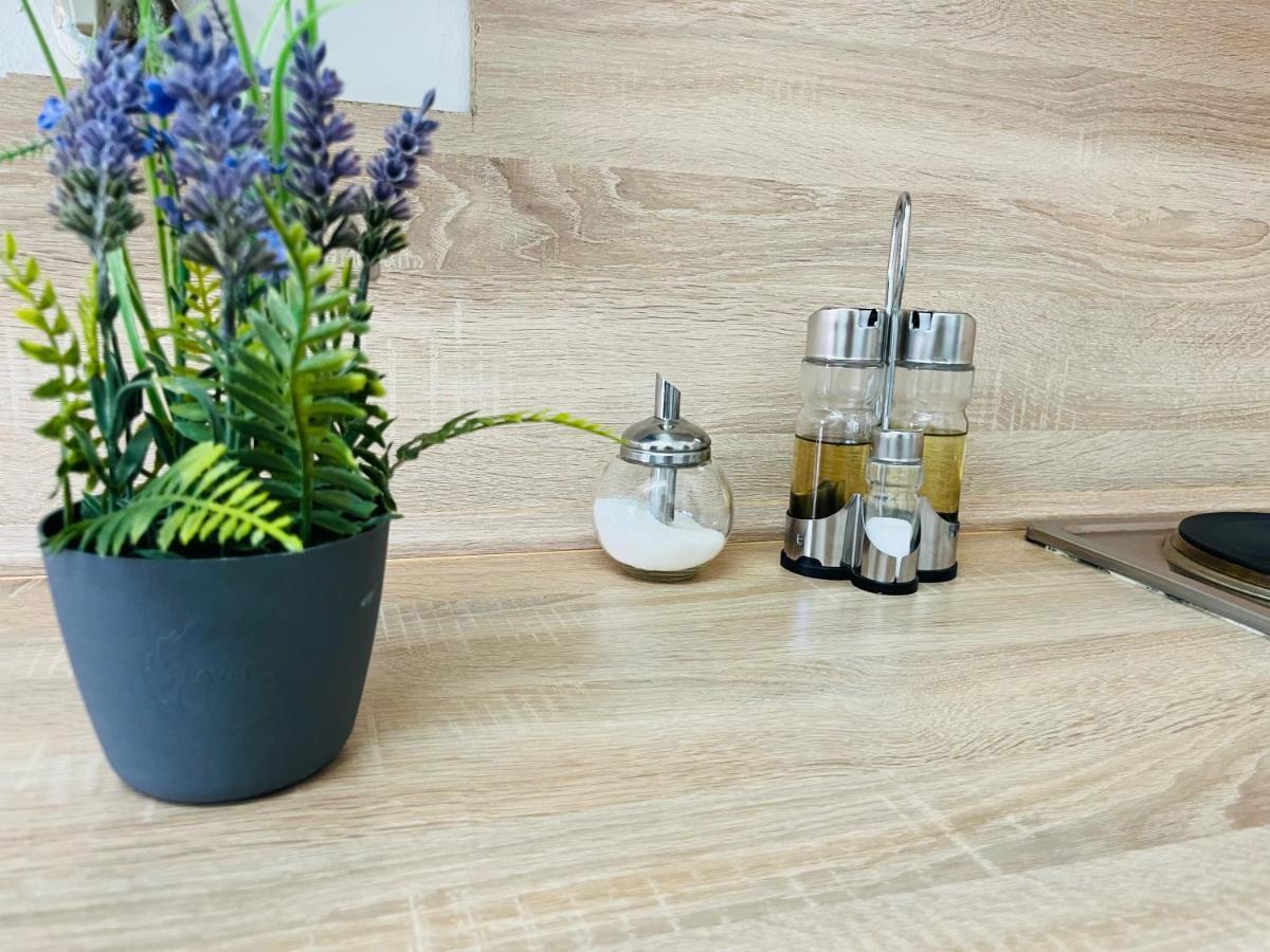 Lavender Home Appart 林茨 外观 照片